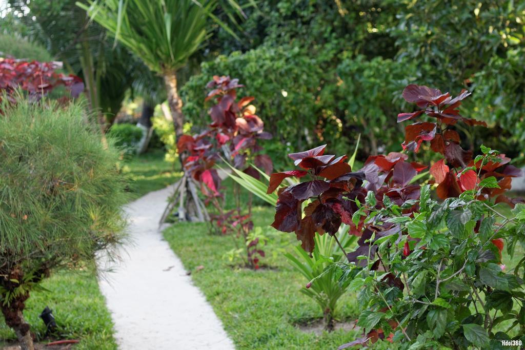 Analatsara Eco Lodge Ile aux Nattes Exterior foto